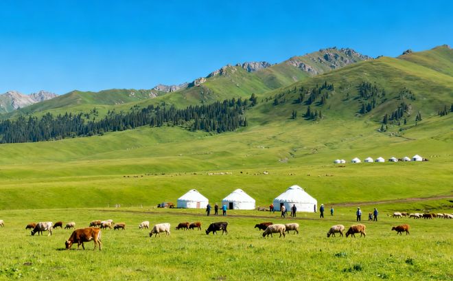 ：纯玩定制两不误性价比之王就选蒙旅J9数字平台新疆口碑优质旅行社前十(图6)